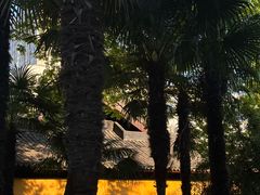 -常州古运河南大街文化旅游区-人民公园