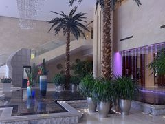 -常州环球恐龙城维景国际大酒店