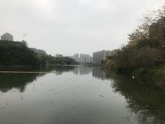 -金山公园