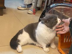-奇门密室(五一新干线店)