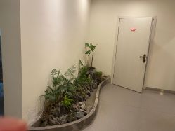 -康颜SPA自然疗愈皮肤管理中心