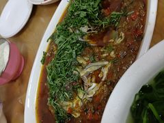 -老字号怡玺·藿香雅鱼(20年雅安店)