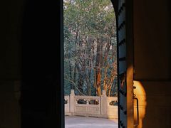 -灵谷景区
