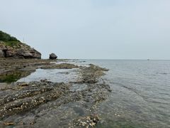 -大连金石滩滨海国家地质公园