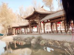 -金塔沙漠胡杨林景区