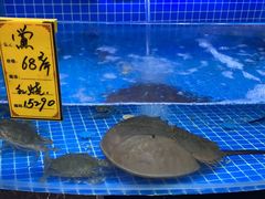 -驻海渔市(置信店)