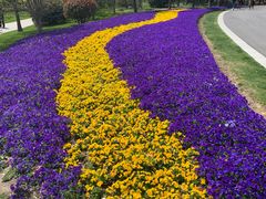 -狼山风景名胜区
