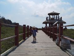 -北海金海湾红树林生态旅游区