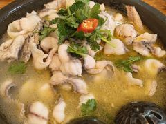-大鼎石锅鱼(春江里店)