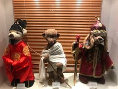 -济州岛泰迪熊博物馆