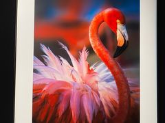 -罗红摄影艺术馆