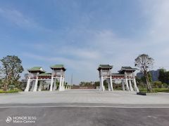-王借岗森林公园