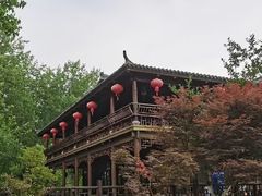 -合肥滨湖国家森林公园