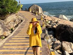 -广东惠东海龟国家级自然保护区