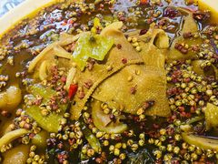 -三强鸽子(中原路店)