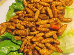 -东家小院金汤酸菜鱼(南阳路店)