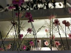-84那年咖啡馆(李沧万达店)