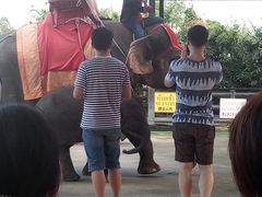 -东芭乐园