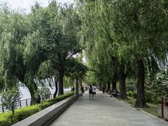 -长春市南湖公园