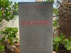 -临高角