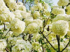 -大龙山(地铁站)