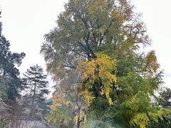 -潭柘寺景区