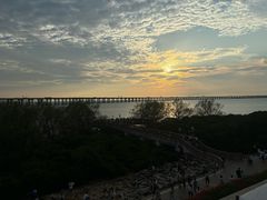 -宝安西湾红树林湿地公园