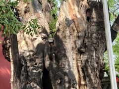 -胡氏古民居建筑