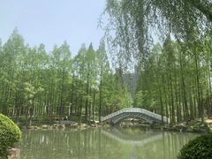 -大宁公园