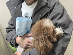 -仁普宠物诊所·中兽医·夜诊·狂犬免疫点(住友昌盛新苑店)