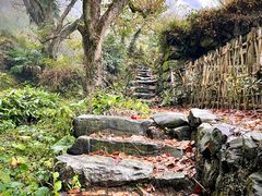 -塔川景区