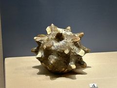 -宁夏博物馆