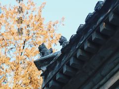 -西海子公园