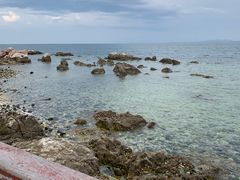 -养马岛旅游度假区