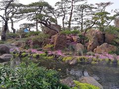 -罗红摄影艺术馆