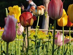 -长春公园(普阳街道)