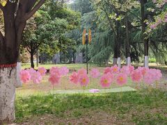 -西安外国语大学(长安校区)