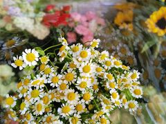 -雪蔓之鲜花气球派对(家佳源时代中心店)