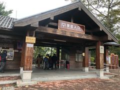 -大湾区中央湿地公园