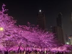 -西北湖绿化广场