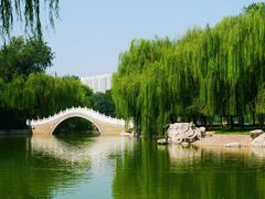 -达活泉公园