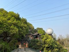 -巴倒烫陆派火锅山庄(南山总店)