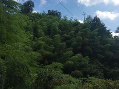 -浙北大峡谷