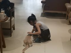 -藏猫猫咖啡主题馆(中央大道店)