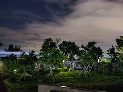 -宝安西湾红树林湿地公园