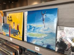-浣熊唱片店(上海影城店)