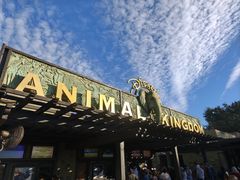 -奥兰多迪士尼动物王国乐园