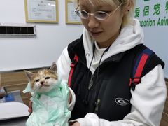 -爱侣宠医·鹦鹉专科·小型哺乳类·异宠专科(灵石路店)