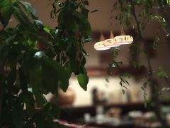 -慢丽江·云南野生菌土鸡锅(付家庄店)