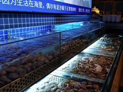 -芭菲盛宴·环球美食(北城国际店)